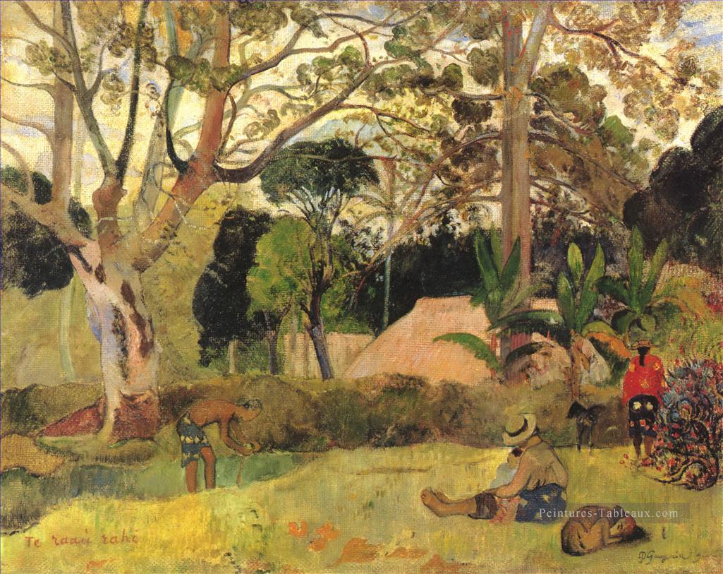 Te raau rahi Paul Gauguin Peintures à l'huile